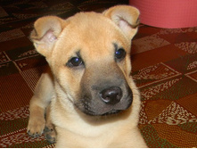 ����������� 014.jpg