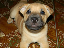 ����������� 010.jpg