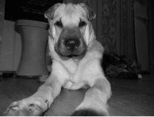 ����������� 122.jpg