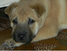 ����������� 016.jpg