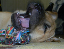 ����������� 018.jpg