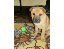 ����������� 019.jpg