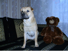 ����������� 002.jpg