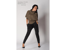 ������� SW2888    870���