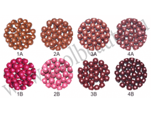 color bls06.png