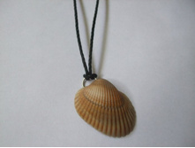 11. ���������� 2.5 �� � 3.5 ��