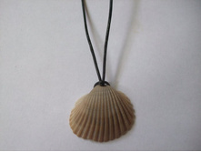 12. � ��������� ������� 2 �� � 2.5 ��