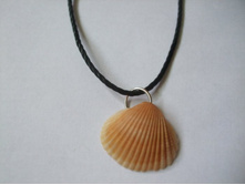 13. ��������� ������� 2 �� � 2.4 ��