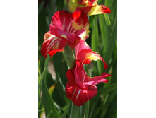 ������� � ������_1.JPG