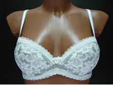 Glora ����������� 136136.JPG