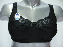 Glora ����������� 127239.JPG