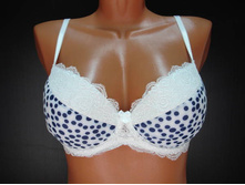 Glora ����������� F 48032.JPG