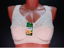 Lotoss-M ����������� 1005-252.JPG