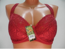 Lotoss-M ����������� 1060-440.JPG