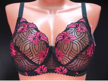 Roze ����������� 286-4341.JPG