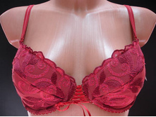 Roze ����������� 347-1087.JPG