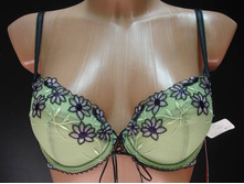 Vipa ����������� 1373210.JPG