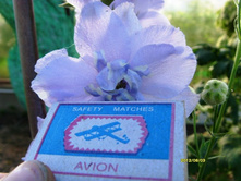 ������� ����� ����� ����