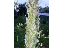 ���. ������.JPG