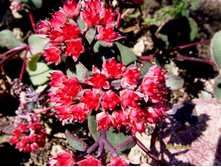 ������ �� ��������.JPG