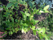 �������� ������ � �����.JPG