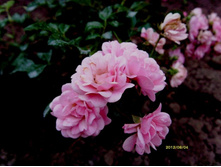 �� �����.JPG