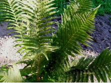 �� ����.JPG