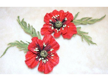 ������� �����������