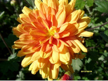 ���������� �����.JPG