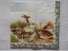 �� ���������