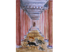 ������ ���� - ��������� ��������