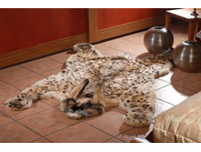 ������ ������� ���� (���������� ������) �-0819-2 �-� 170�125�� 2665��� 