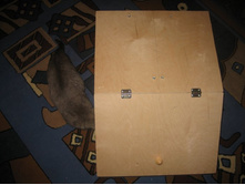 ������� ������ (7)