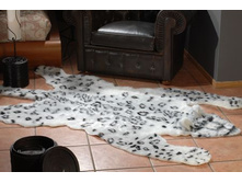 ������ ������� �-0944 �-� 140�235�� 1902���