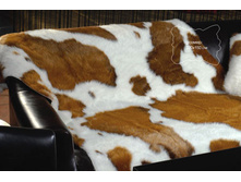 ������ ������� ������� �-0979 �-� 220�150�� 1450���