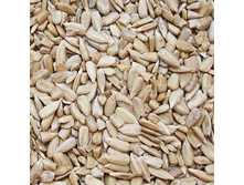 ������� ���������� ����.