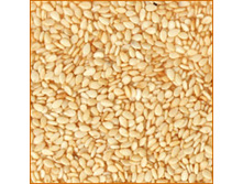 ������� ������� (150 �/��)