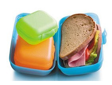 ����� ���������� ������ ���� ���� 569 ���