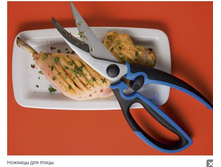 ������� ��� �����.jpg