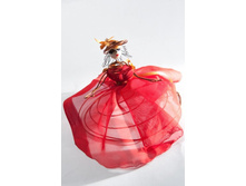 ���������? - �������