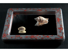 ������� �����������