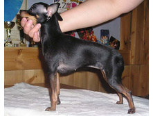 ���� ����� ����.jpg