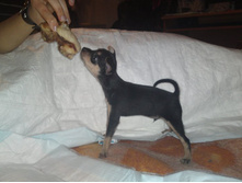 5������� ���.JPG