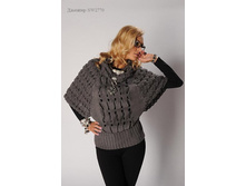 ������� SW2770   870���