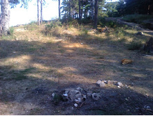 2011-08-15 10.03.26.jpg