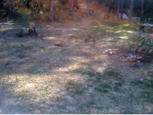 2011-08-15 10.03.43.jpg