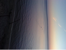 2011-08-16 20.42.43.jpg