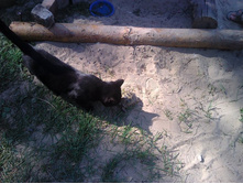 2011-08-17 11.05.00.jpg