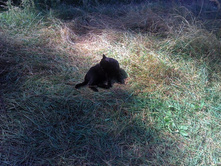 2011-08-17 12.22.21.jpg