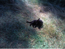 2011-08-17 12.22.32.jpg